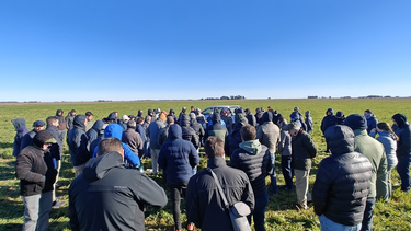 ganaderia de precision en la region sudoeste