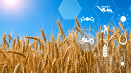Reporte de Actualidad Agro CREA - 2026