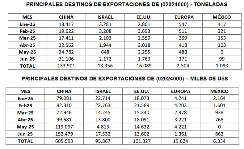 Exportaciones argentinas de carne vacuna (2025). Consorcio ABC en base a datos oficiales