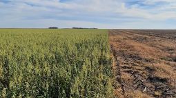 transformacion productiva: de la renta a la sostenibilidad