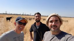 comercializacion ganadera: carne argentina con marca propia