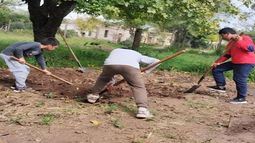 asi son los suelos de mi pais: como transformar un problema en una solucion