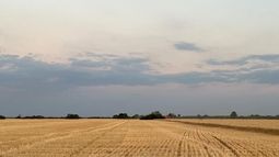 gestion ambiental crea ¿cuales son las regiones que mostraron mayor interes en la herramienta?