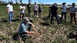 asi abordan la compactacion de suelos en el sur de cordoba