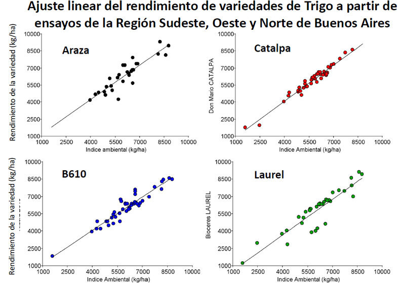 Ajuste linear del rendimiento de variedades de trigo a partir de ensayos de las regiones CREA Sudeste, Oeste y Norte de Buenos Aires con datos de las campañas 2022 a 2025