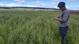 pasturas en tierra del fuego: una experiencia tan desafiante como compleja