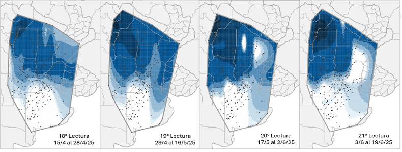 Mapa de calor establecido en función de la evolución de la cantidad de adultos de Dalbulus maidis capturados con trampas cromáticas adhesivas en las localidades relevadas de la Red Nacional de Monitoreo de la chicharrita del maíz.