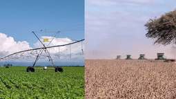 dos empresas crea de la region noa recibieron el premio 2025 la nacion-galicia a la excelencia agropecuaria