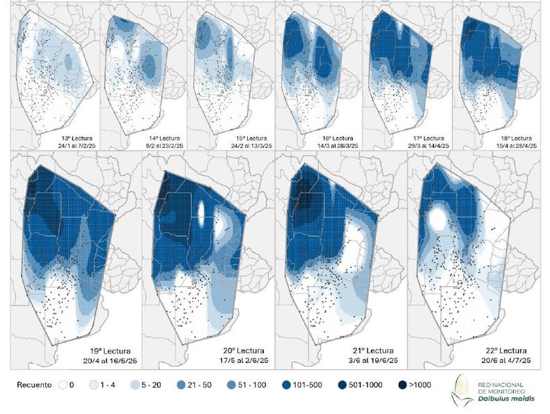 Mapa de calor establecido en función de la evolución de la cantidad de adultos de Dalbulus maidis capturados con trampas cromáticas adhesivas en las localidades relevadas en los últimos informes de la Red Nacional de Monitoreo de la chicharrita del maíz