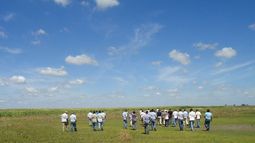 economia argentina: impacto en el agro del nuevo esquema cambiario