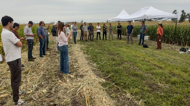 cultivo de maiz temprano: resultados de ensayos de hibridos, densidad y nutricion en la region crea litoral sur
