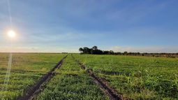 una empresa familiar agropecuaria que le saca todo el jugo a la red crea