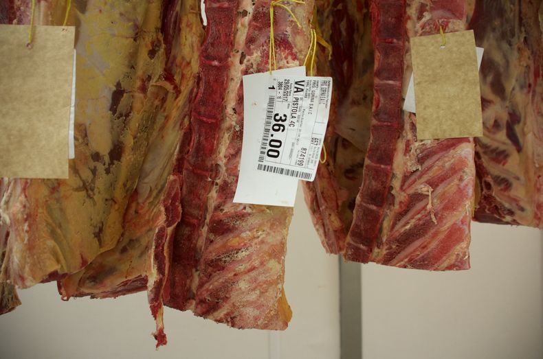 LIZZI No todo lo que se exporta es carne.jpeg