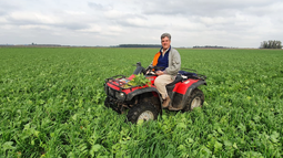 agricultura regenerativa para potenciar la ganaderia