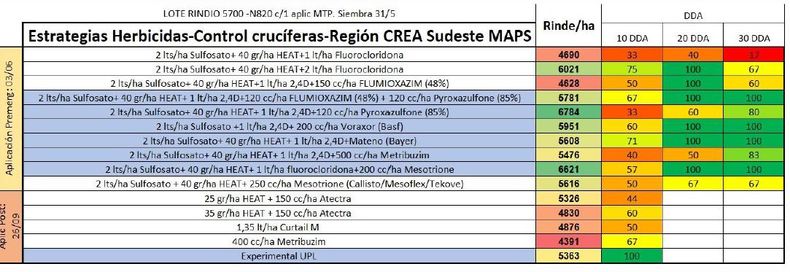 Estrategias de control de malezas crucíferas. CREA Sudeste