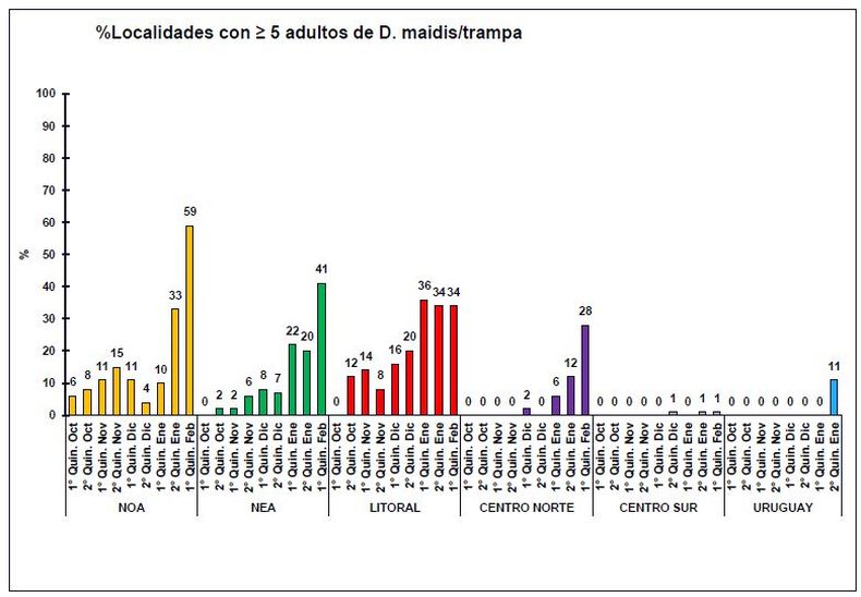 Evolución del porcentaje de localidades para cada región con cantidades ≥ 5 adultos de Dalbulus maidis/trampas. Se detalla los porcentajes para cada quincena correspondiente a los informes de la Red Nacional de Monitoreo de la chicharrita del maíz (Dalbulus maidis).