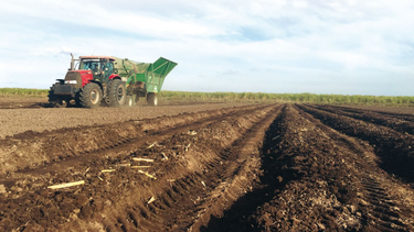cana de azucar: nuevo manual de plantacion mecanizada