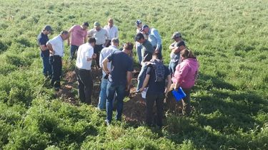 gestion empresarial rural: un desafio dificil pero no imposible