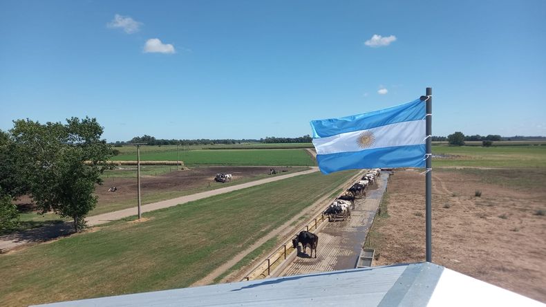 Lechería de precisión en la Cuenca del Salado. Establecimiento La Esperanza.