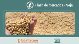 flash de mercados: informe al 22/01/26 - cultivo de soja: ¿presion a la baja de precios?