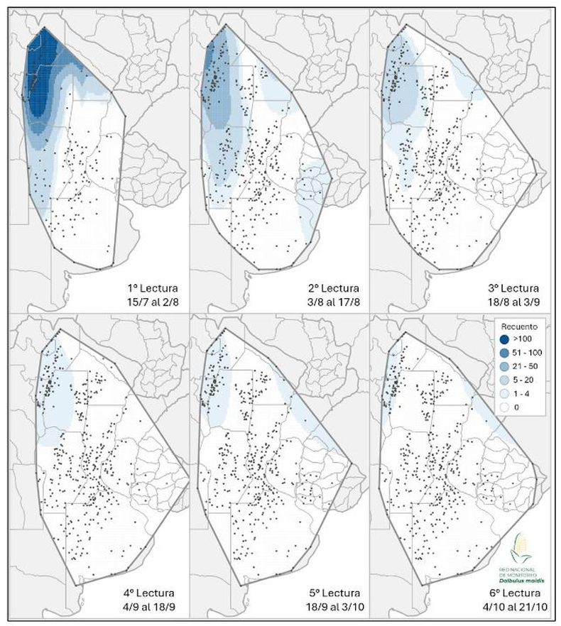 Mapa de calor establecido en funci&oacute;n de la evoluci&oacute;n de la cantidad de adultos de Dalbulus maidis capturados con trampas crom&aacute;ticas adhesivas en las localidades relevadas en el primer, segundo, tercer, cuarto, quinto y sexto informe de la Red Nacional de Monitoreo de la chicharrita del ma&iacute;z.