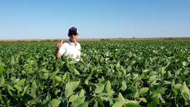 siembras compartidas: la receta de berardo agropecuaria
