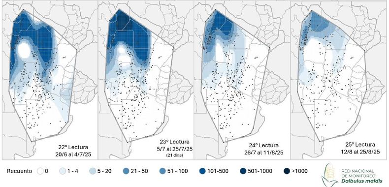 Mapa de calor establecido en función de la evolución de la cantidad de adultos de D.Maidis capturados con trampas cromáticas adhesivas en las localidades relevadas en los últimos monitoreos de la Red Nacional de Monitoreo de la chicharrita del maíz.