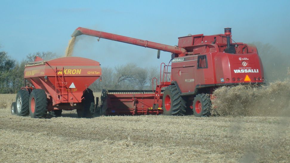 Vassalli Axial en soja 2