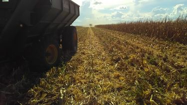 campana agricola 2024/25: alternativas de financiamiento