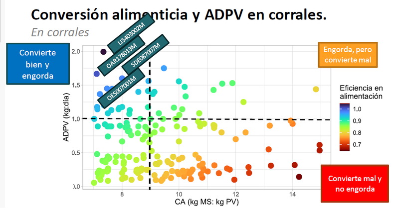 Relaci&oacute;n entre conversi&oacute;n alimenticia en kgMS/kg.PV y aumento diario de peso vivo en kg/d&iacute;a en corrales