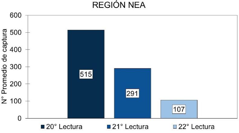 Evolución del número promedio de capturas de D. maidis en la región NEA, según datos de los últimos tres informes.