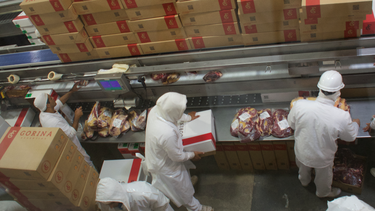 exportacion de carne: ¿que puede esperarse para 2024?