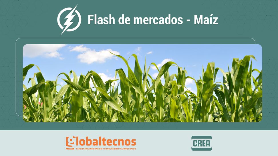 Flash de mercados_1