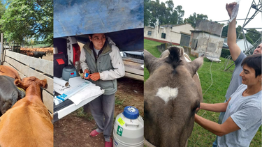 ¡feliz dia del veterinario! claudia es parte la red crea como profesional independiente