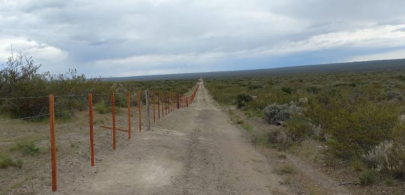 Mart&iacute;n Echave durante m&aacute;s de diez a&ntilde;os manej&oacute; solo las 40.000 hect&aacute;reas del establecimiento familiar.