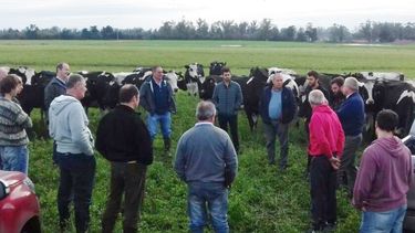 produccion de leche: conoce radar lechero, datos para tomar decisiones objetivas