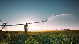 riego, energia solar y manejo de efluentes en el sur de cordoba