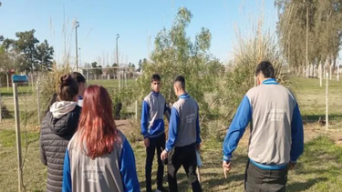 huella de carbono: una experiencia educativa sobre la importancia de las acciones de mitigacion ambiental
