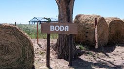 empresa familiar agropecuaria: una nueva unidad de negocios que surgio de casualidad y ahora es un exito