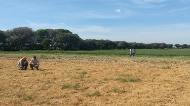 proyecto brechas crea: primeros pasos y desafios