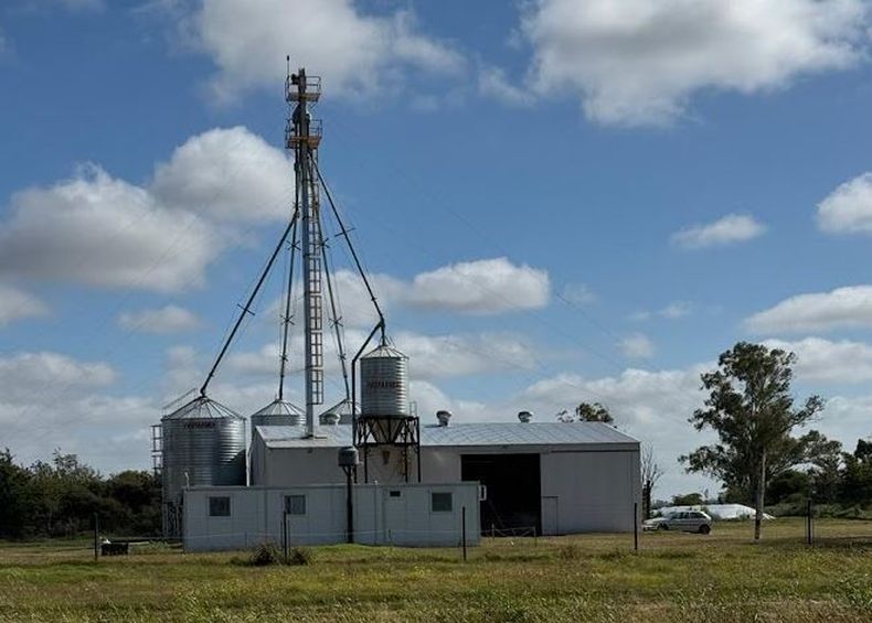 Campisol Granja Avícola y planta de alimentos balanceados