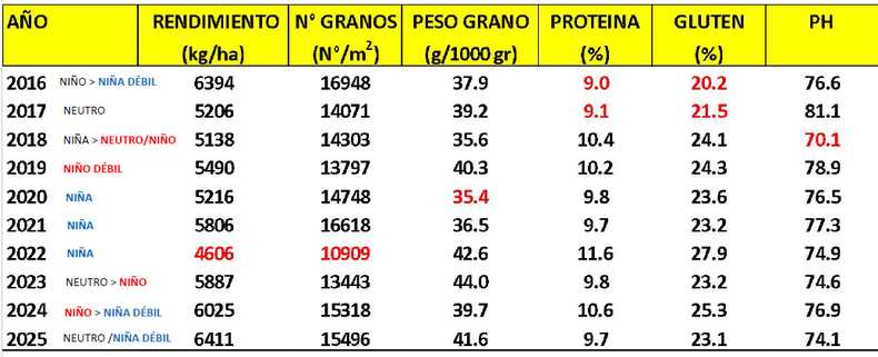 Evaluación general del rendimiento de trigo en el norte de la región CREA Sudeste a partir de los resultados promedio de todas las variedades de ciclo intermedio-largo ensayadas durante los últimos diez años.