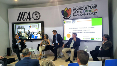 sostenibilidad: entidades del agro argentino en la cop27