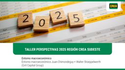 taller perspectivas 2025 region crea sudeste- entorno macroeconomico