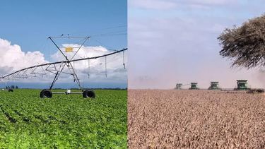 dos empresas crea de la region noa recibieron el premio 2025 la nacion-galicia a la excelencia agropecuaria