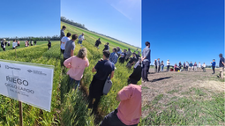 gira agronomica con el foco puesto en el trigo: una visita a la facultad de ciencias agrarias de la unr