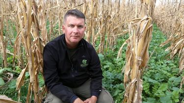 agricultura regenerativa: logros y desafios en un proceso de aprendizaje permanente