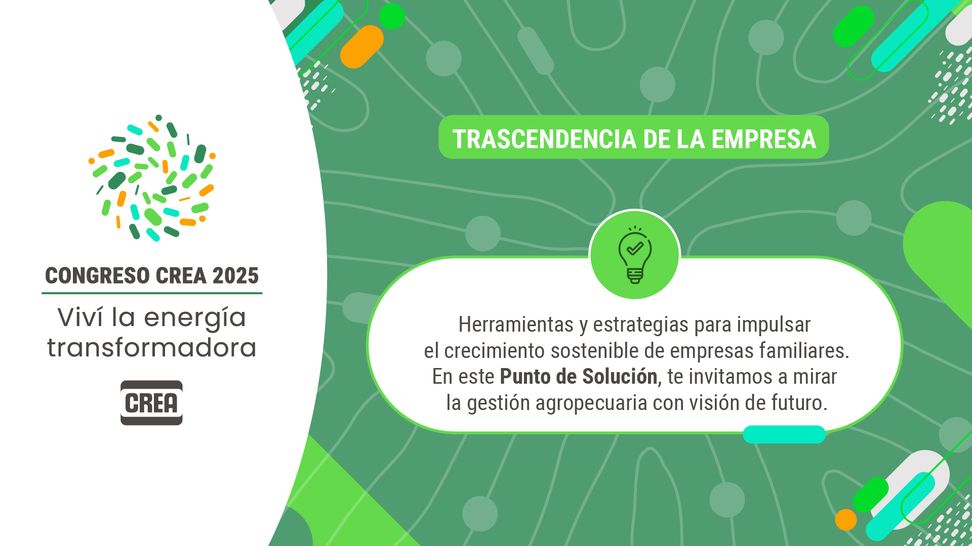 banner contenidos crea cc2025-04
