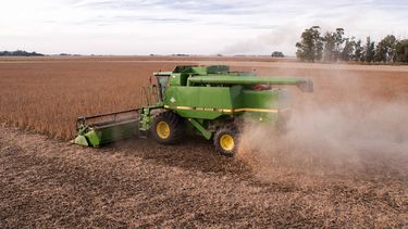 reporte de actualidad agro crea n°11