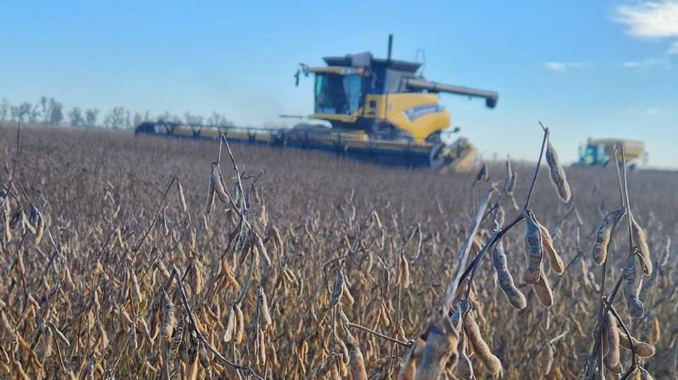 Cosechadora a campo mercados agrícolas